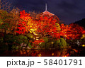 秋の清水寺 夜景 58401791
