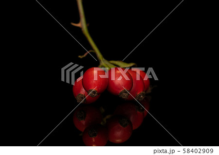 Fresh red rosehip isolated on black glass 58402909
