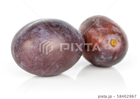 Sweet purple plum isolated on white 58402967