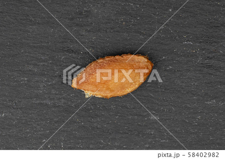 Fresh purple plum on grey stone Fresh purple plum on grey stone 58402982