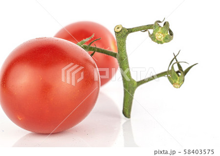Fresh red tomato isolated on white Fresh red tomato isolated on white 58403575