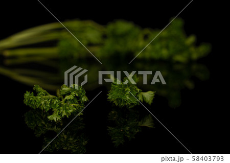 Fresh green parsley isolated on black glass Fresh green parsley isolated on black glass 58403793