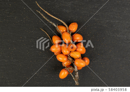 Sea buckthorn berry on grey stone 58403958