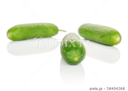 Fresh mini cucumber isolated on white 58404268
