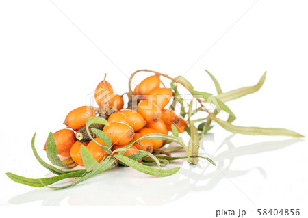 Sea buckthorn berry isolated on white 58404856