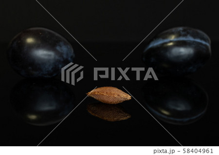 Fresh purple plum isolated on black glass Fresh purple plum isolated on black glass 58404961