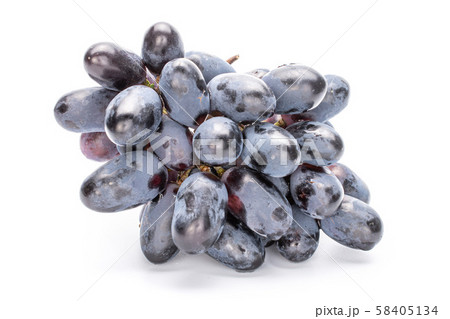 Fresh black wine grape isolated on white Fresh black wine grape isolated on white 58405134