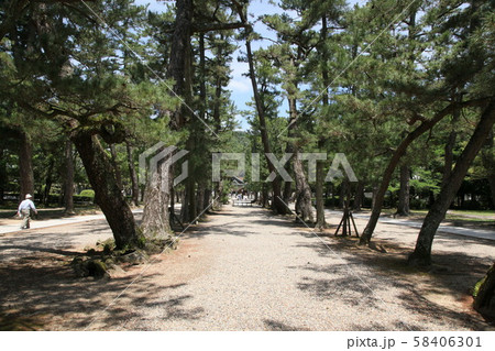 出雲大社　神社　島根県　大社町　出雲市　神有月　神様　おくに　神話　神の国　中国地方 58406301