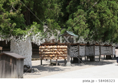 出雲大社　神社　島根県　大社町　出雲市　神有月　神様　おくに　神話　神の国　中国地方 58406323