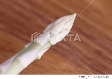 アスパラガス 58406946