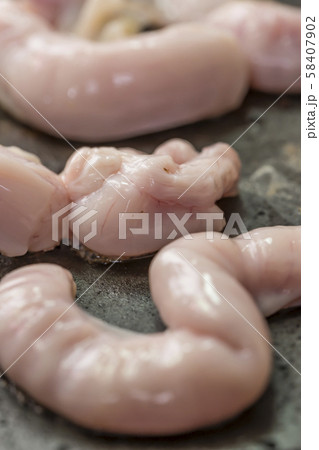 【焼肉】 【焼肉】 58407902