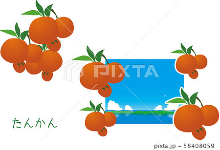 南国　奄美　たんかん　植物　冬 58408059