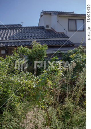 荒れた庭 58408430