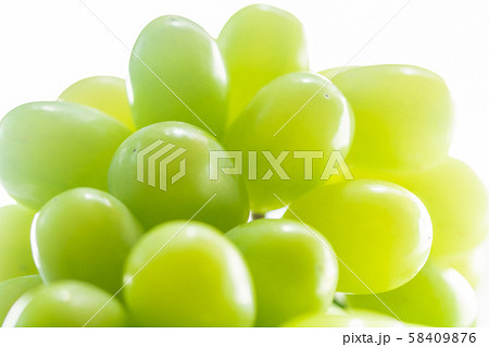 ぶどう・シャインマスカット ぶどう・シャインマスカット 58409876