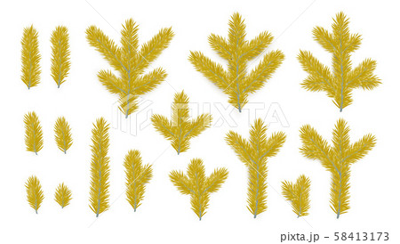 Set of Pine fir golden branches. Spruce branches realistic. Christmas tree Set isolated on white 58413173