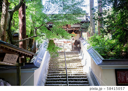 袋井　油山寺　礼拝門 58415057