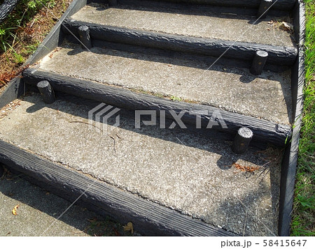 擬木 擬木 58415647