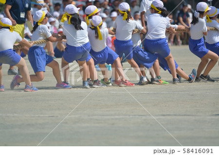 小学校の運動会風景 綱引き 小学校の運動会風景 綱引き 58416091