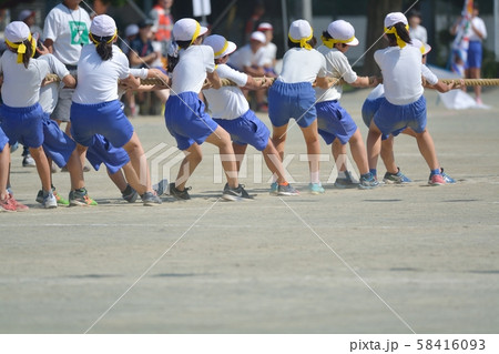 小学校の運動会風景 綱引き 小学校の運動会風景 綱引き 58416093