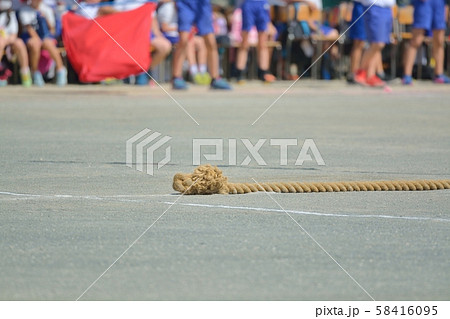 小学校の運動会風景 綱引き 小学校の運動会風景 綱引き 58416095