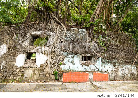 蓮池潭の古い壁と石垣とガジュマロの木 58417144