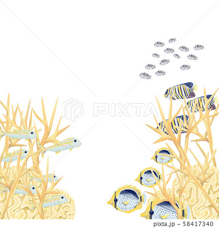 サンゴ礁と海水魚01 サンゴ礁と海水魚01 58417340