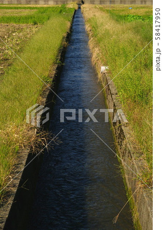 田んぼの用排水路 田んぼの用排水路 58417950