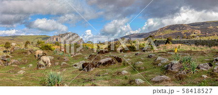 beautiful landscape of Bale Mountain 58418527