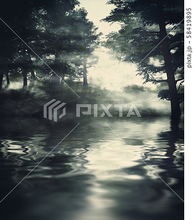 Misty pine forest 58419895