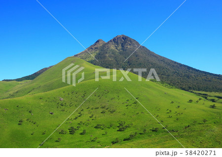 秋の由布岳 58420271