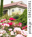 バラとイギリス館 58422081