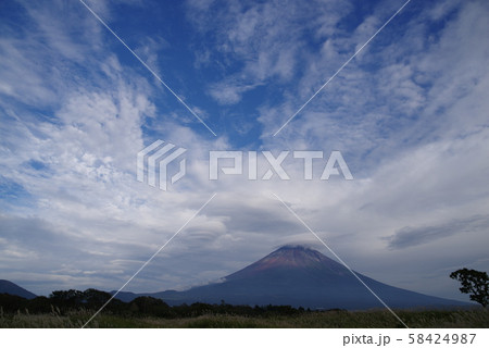 富士山とススキ 富士山とススキ 58424987