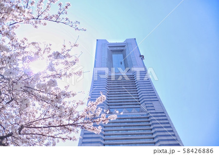ランドマークタワー　桜18 58426886