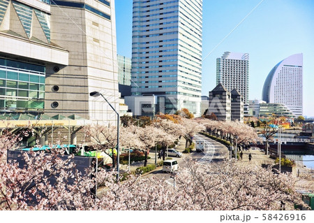 ランドマークタワー 桜40 ランドマークタワー 桜40 58426916
