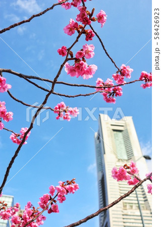 ランドマークタワー 桜47 ランドマークタワー 桜47 58426923