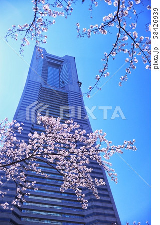 ランドマークタワー 桜62 ランドマークタワー 桜62 58426939
