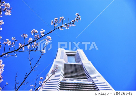 ランドマークタワー　桜68 58426945