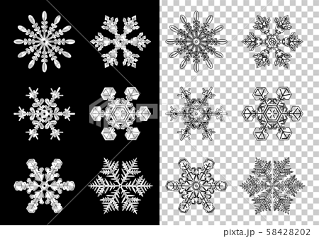 雪の結晶 イラスト アイコン セット 白黒のイラスト素材 5842