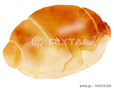 テーブルブレッド1 テーブルブレッド1 58429189