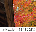 北海道の紅葉 58431258