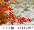 北海道の紅葉 58431267