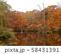 北海道の紅葉と湖 58431391