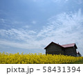 北海道の空 58431394
