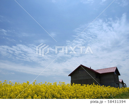 北海道の空 58431394