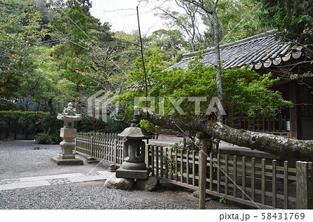高徳院　観月堂　鎌倉市 58431769