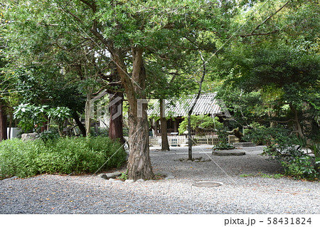 高徳院　観月堂　鎌倉市 58431824