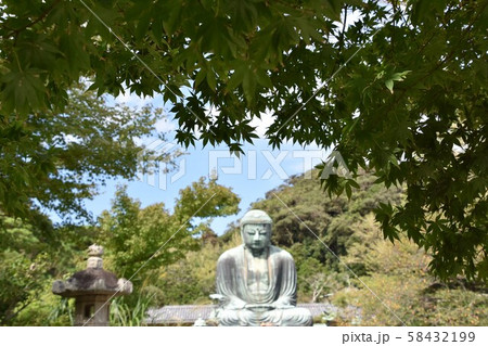 高徳院 鎌倉大仏 鎌倉市 高徳院 鎌倉大仏 鎌倉市 58432199