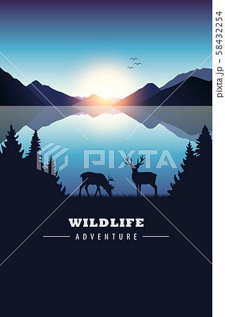wildlife adventure elk in the wilderness blue lake at sunset wildlife adventure elk in the wilderness blue lake at sunset 58432254