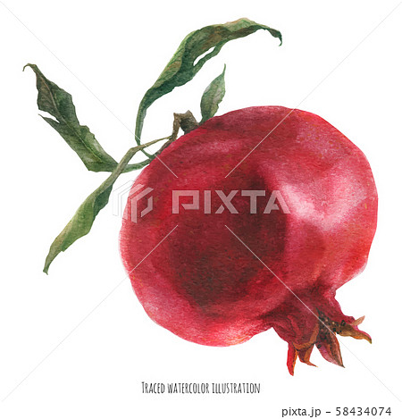 Big fresh pomegranate fruit Big fresh pomegranate fruit 58434074