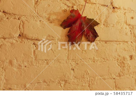 Red maple leaf on a brick surface Red maple leaf on a brick surface 58435717